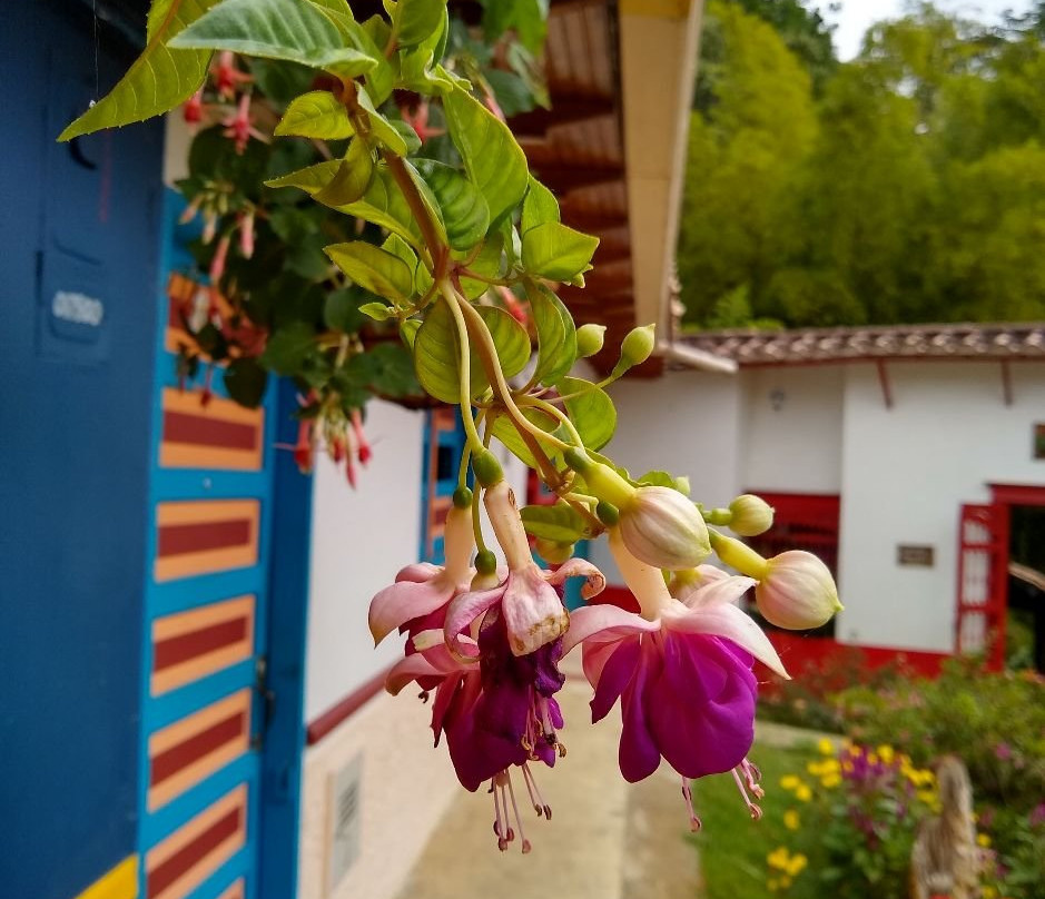 Jardin Botanico Los Balsos-Jerico必去景点