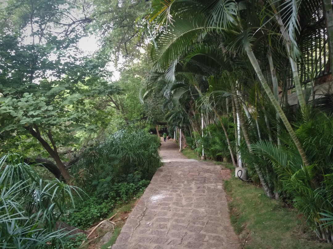 Lotus Pond-海德拉巴必去景点