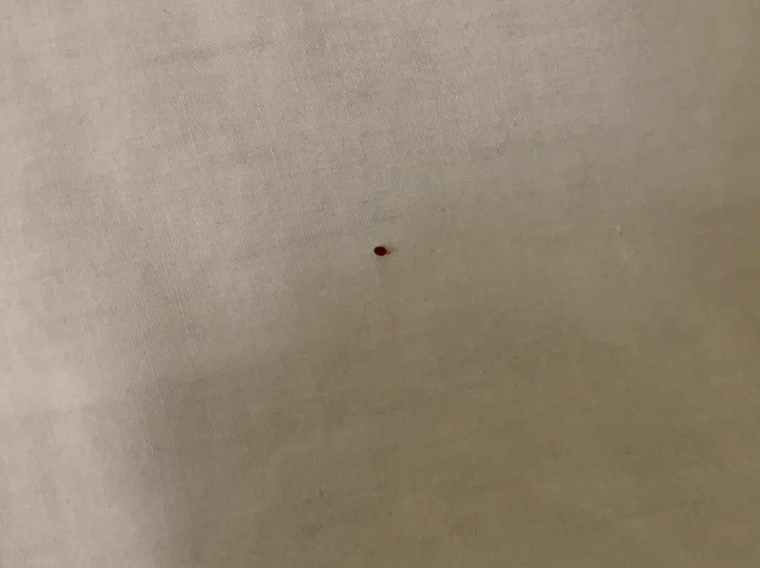 安大略卡尔森乡村套房酒店主图