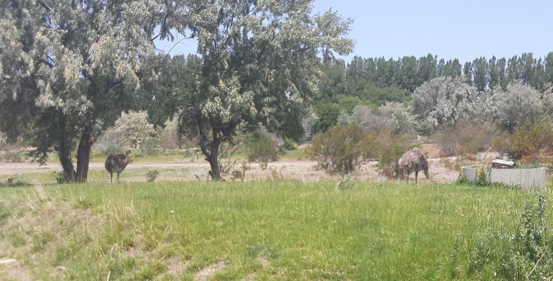 Bubalco-Allen必去景点