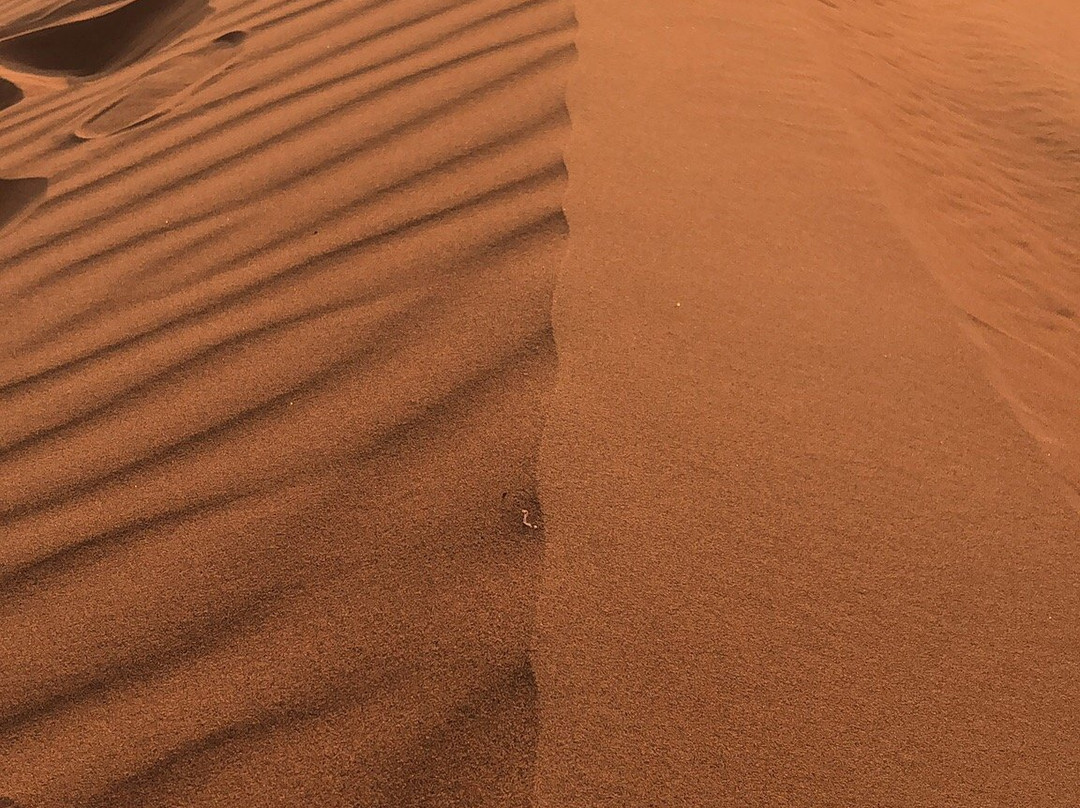 ADT Desert Club Tourism-迪拜必去景点