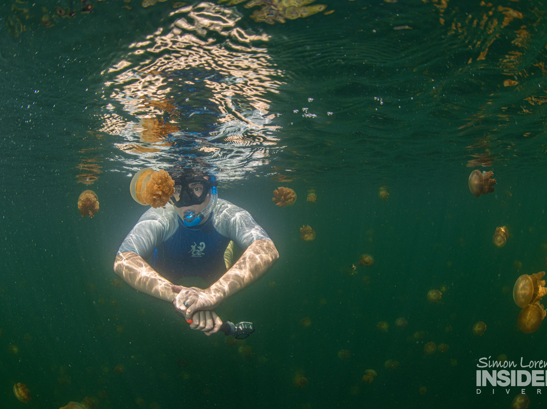 Lenmakana Jellyfish Lake景点图片