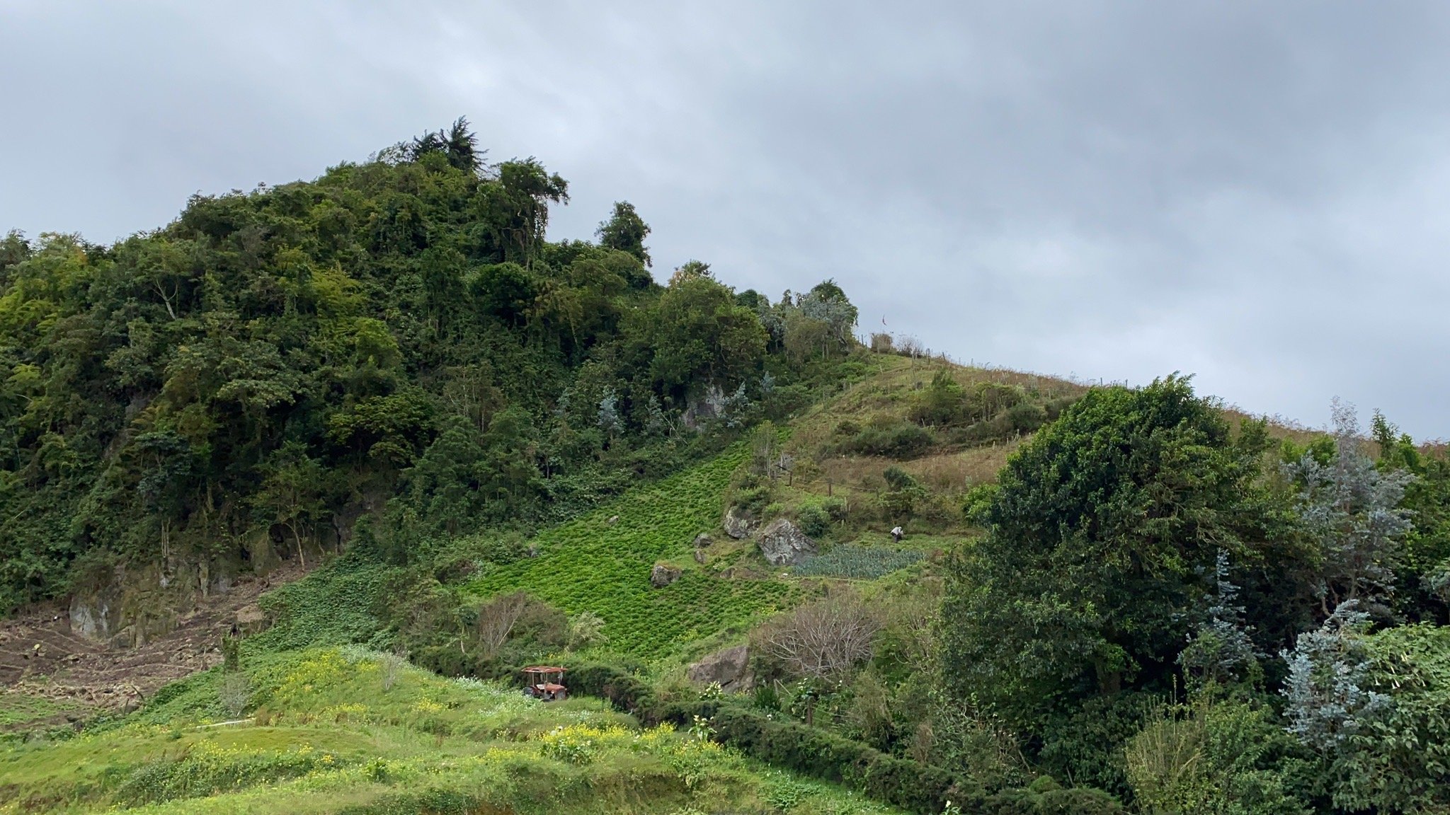 Hotel Central Boquete-官方