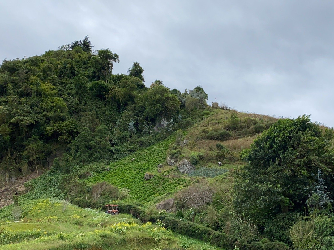 Hotel Central Boquete主图