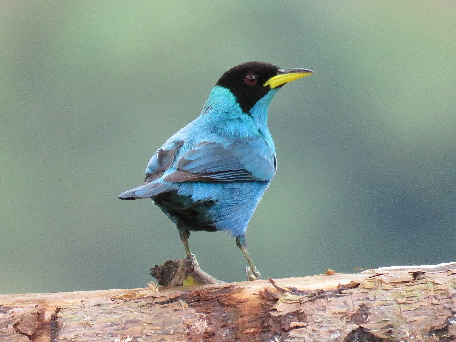 Finca Demostrativa Don Miguel-Villamaria必去景点