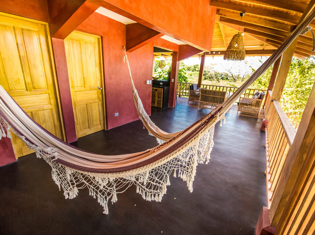 Hotel Playa Negra主图