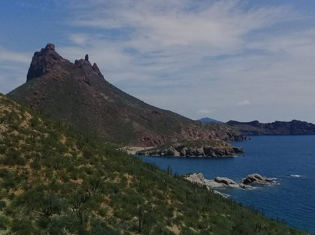 Mirador Escénico de San Carlos景点图片