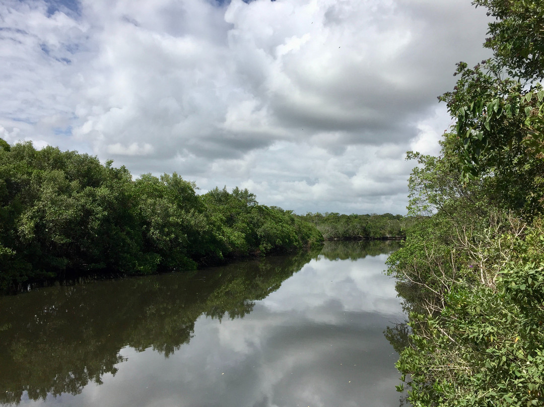Parque das Capivaras em Meia Praia Itapema.