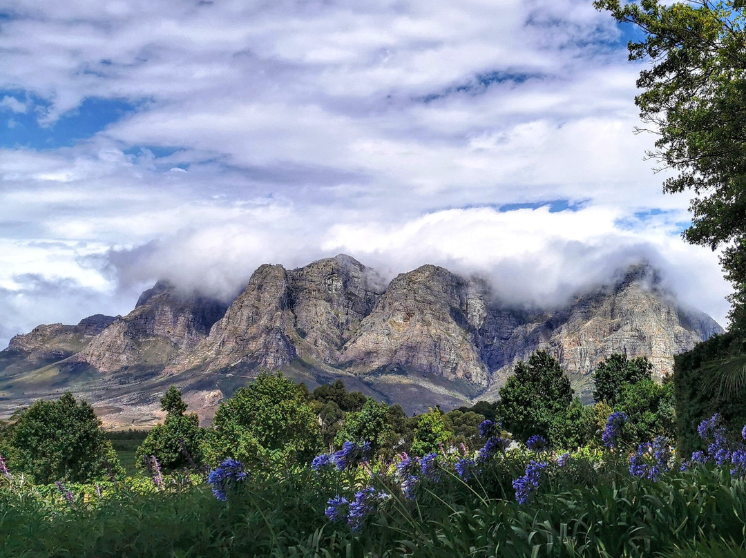 Grapes of Good Hope-开普敦必去景点