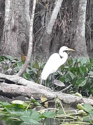 Discovery Kayak Tours-奥卡拉必去景点