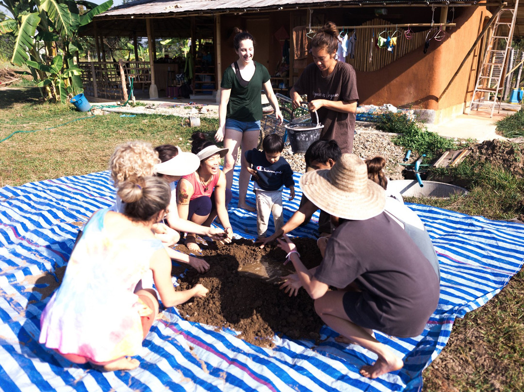 Pai Seedlings Foundation FARM景点图片