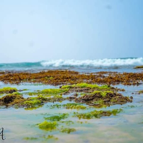 Talpe旅游攻略图片