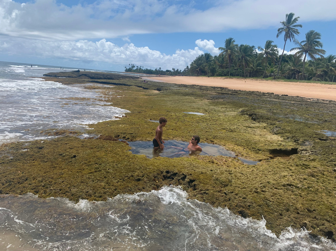 Tres Coqueiros Beach-Barra Grande必去景点