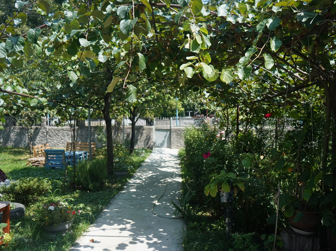 Nodara's Garden-Ninigori必去景点