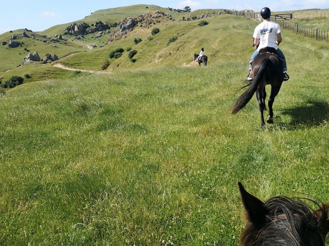 Stone Hill Horse Trek景点图片