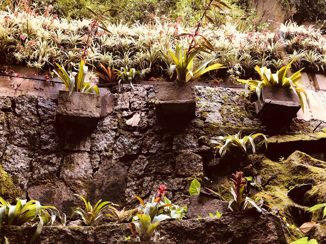 马丘比丘苏马哥酒店主图