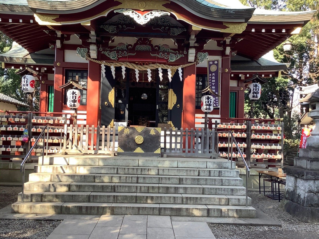 Minamisawa Hikawa Shrine景点图片