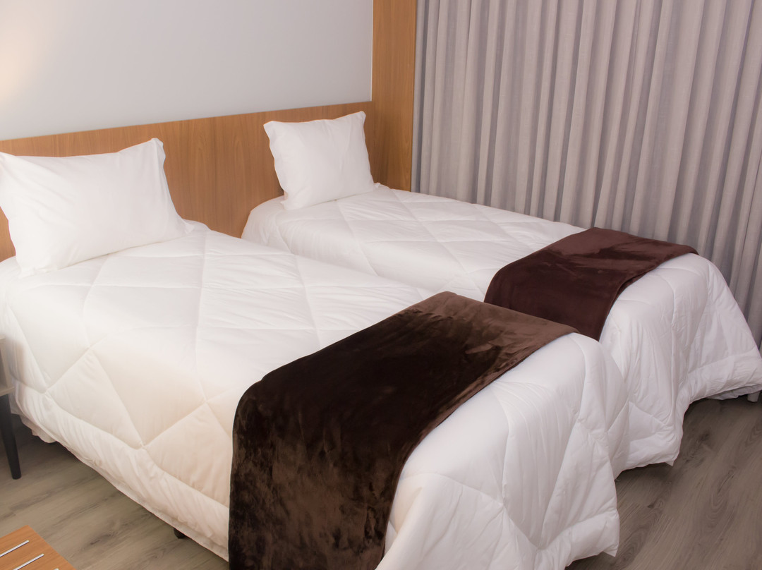 Ibitiura de Minas酒店住宿-Hotel Dela Inn