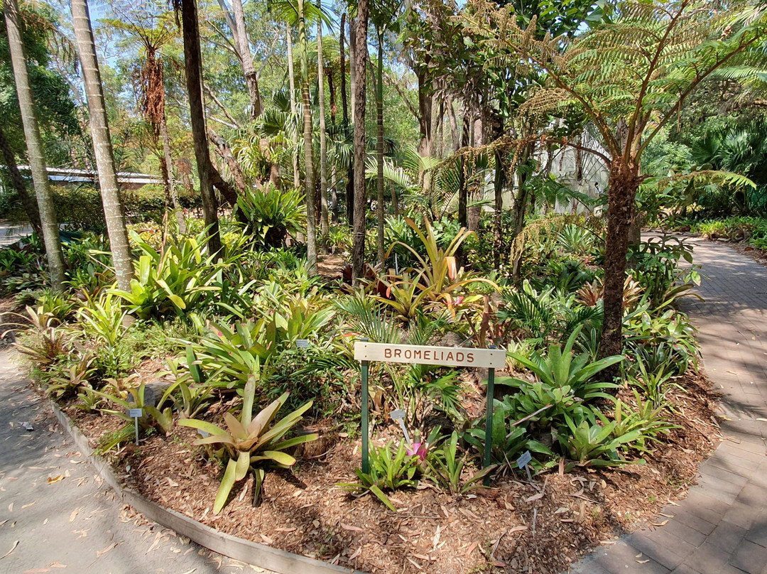 Hunter Region Botanic Gardens景点图片