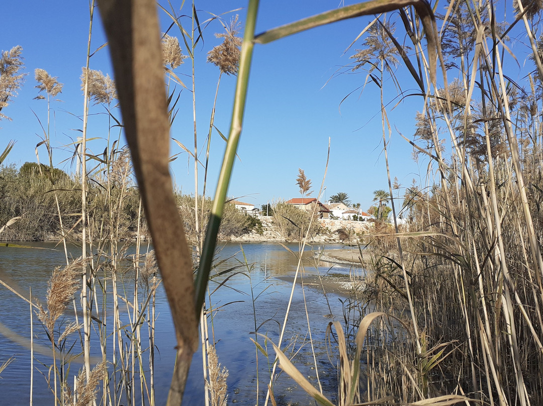 Platja dels Marenys de Rafalcaid