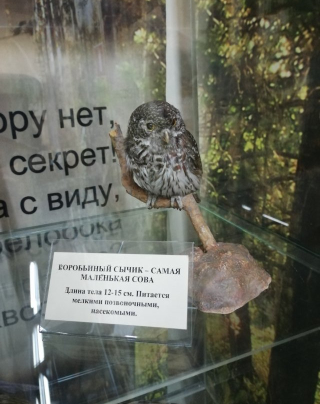 City Council Local History Museum-秋明必去景点