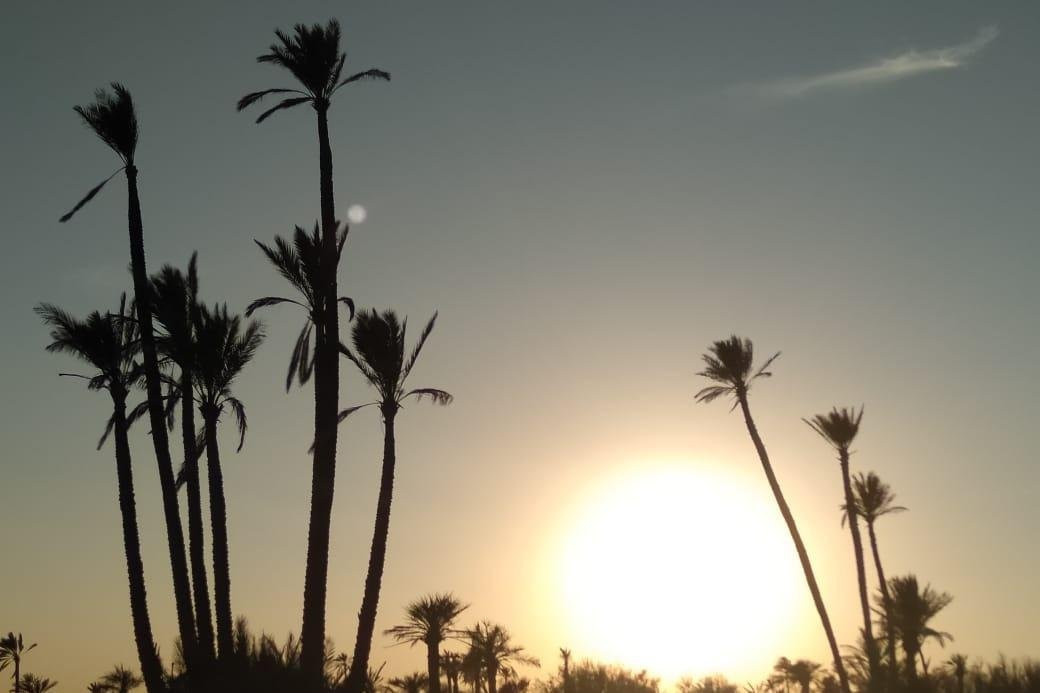 Sun Quad Aventure-Palmeraie必去景点