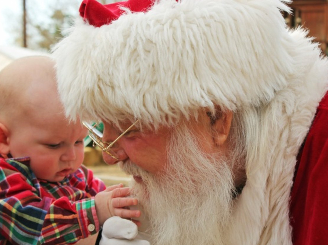 Zoomars at River Street Ranch-San Juan Capistrano必去景点