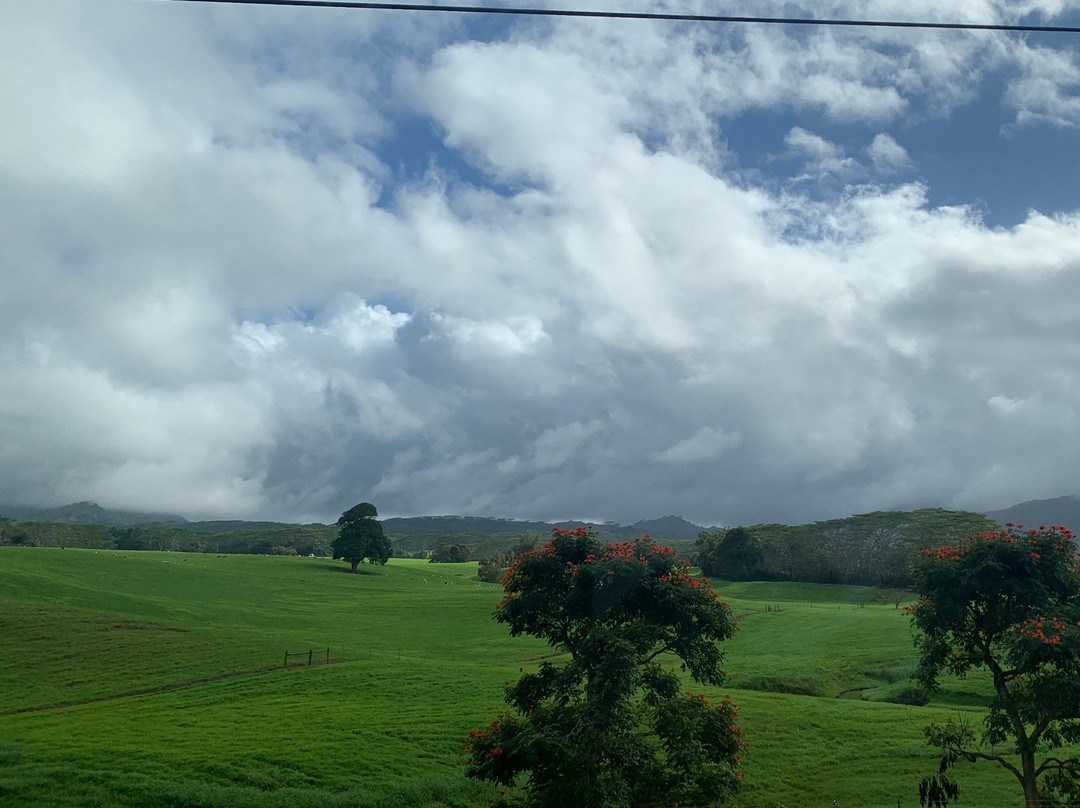 Robert's Hawaii-利胡埃必去景点