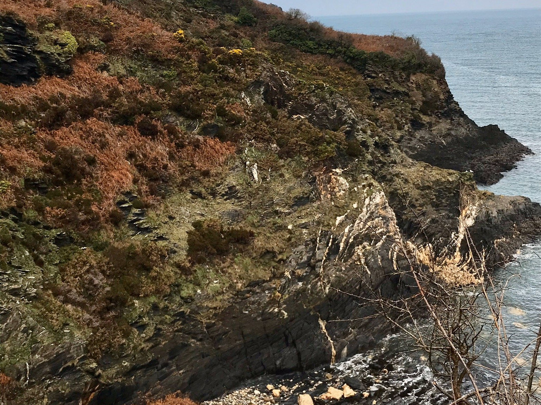 Dinas Head (Dinas Island)景点图片