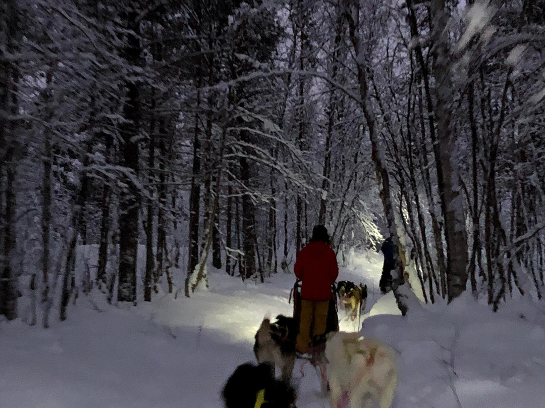 HORISONT HUSKY - Dogsled adventures and expeditions in the Arctic-阿尔塔必去景点
