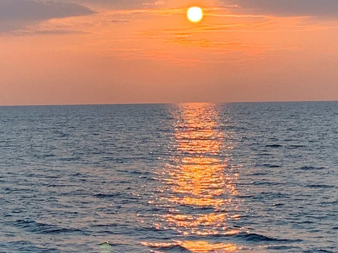 乌龟海滩阿瓦德酒店主图