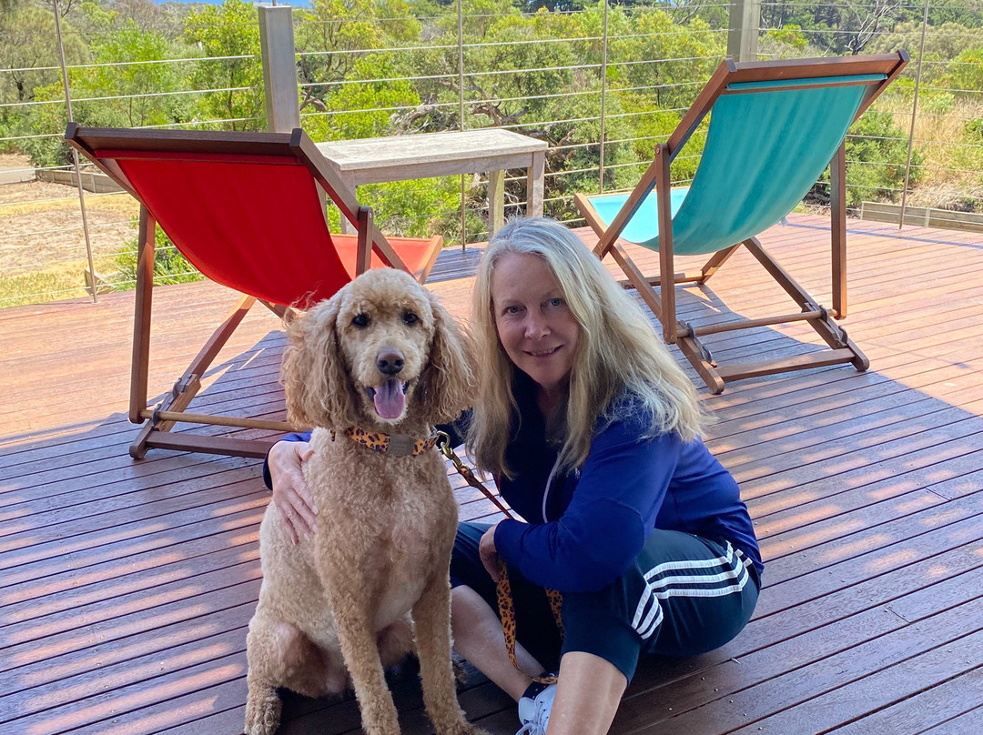 斯安克开普敦美景酒店主图