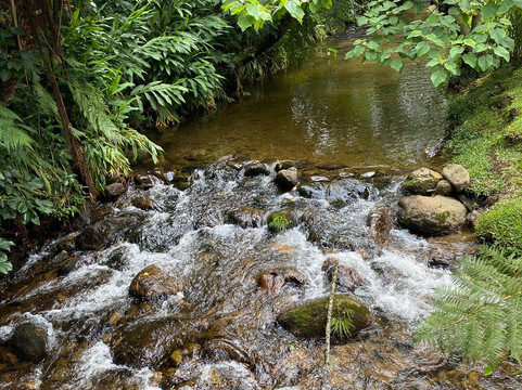 希图达斯阿斯特拉配雅思旅馆主图