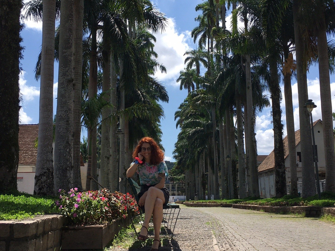 Rua das Palmeiras景点图片