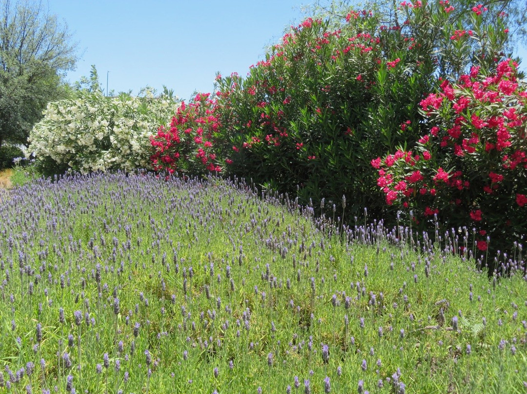 迪亚戈阿马格阿罗普多酒店主图