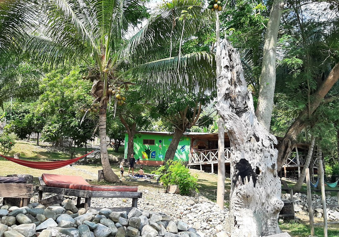 Cocoa Village Guesthouse主图