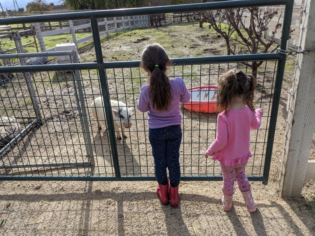 Seein' Spots Farm-索尔万必去景点