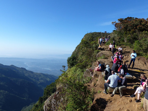 Nature Paradise Tours