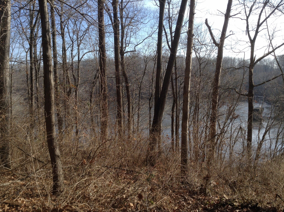 Lake Needwood-罗克维尔必去景点