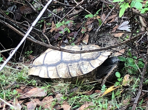 General James A. Van Fleet State Trail-Polk City必去景点