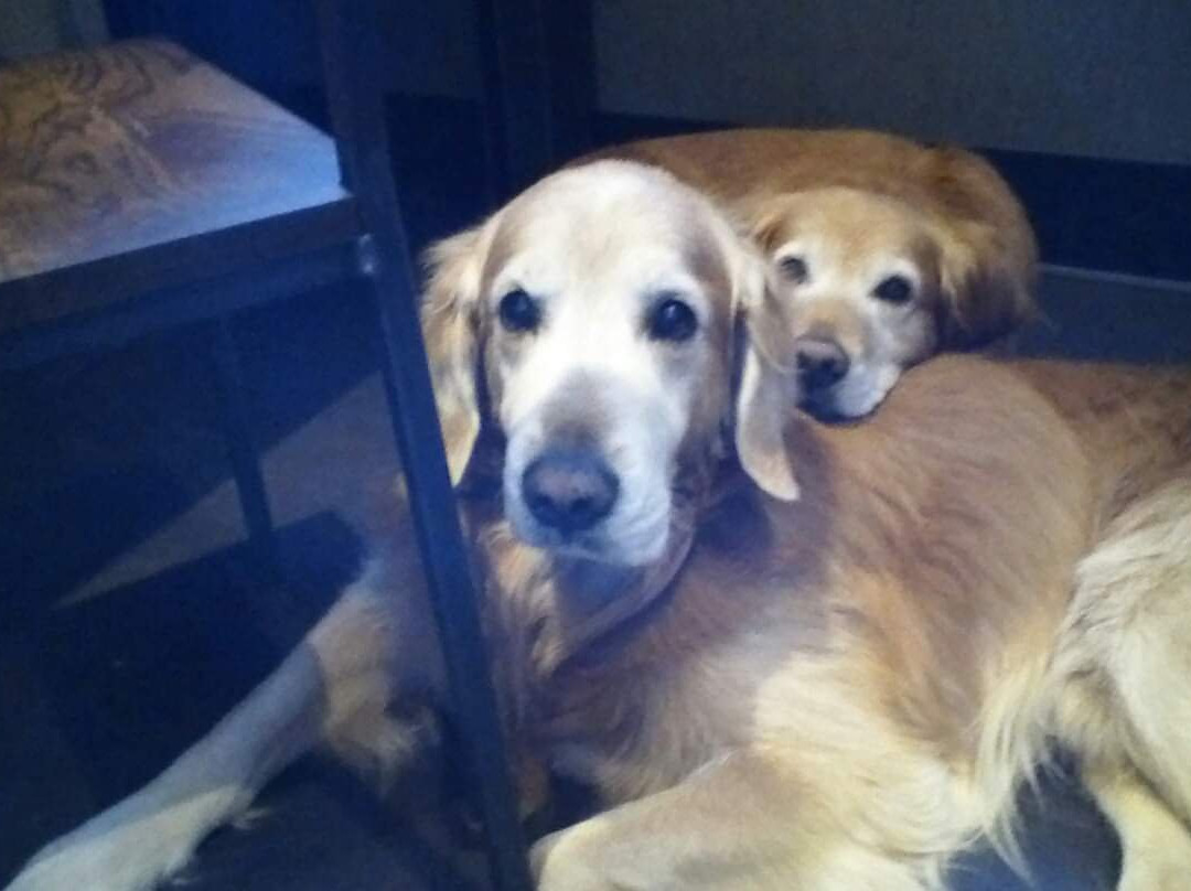 Hilton Garden Inn Lubbock主图