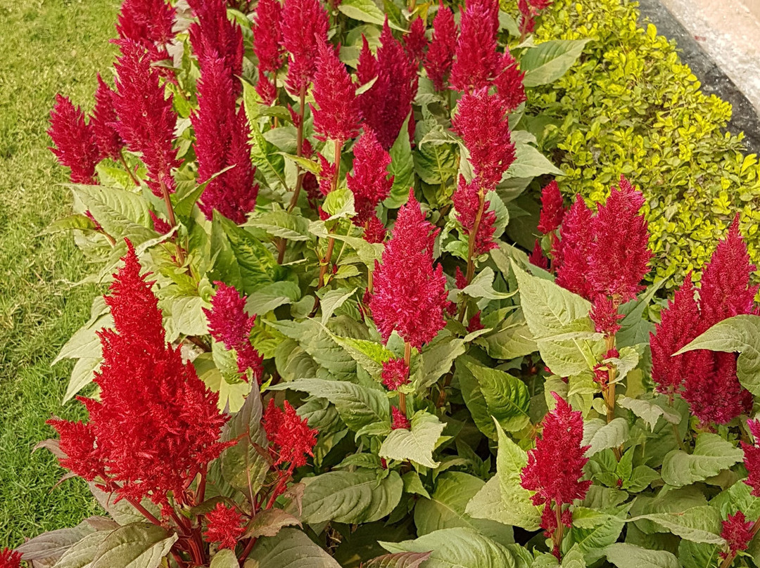 Panthashala Guest House主图