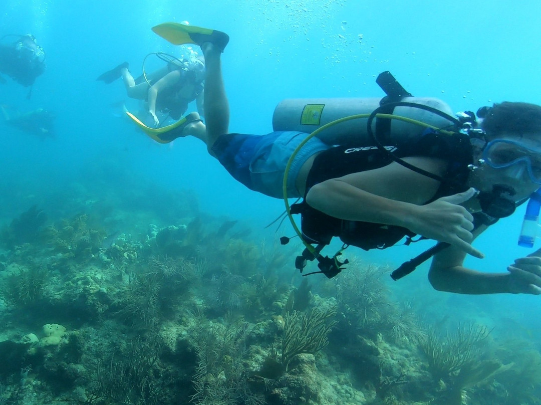 Lower Keys Adventure Charters景点图片