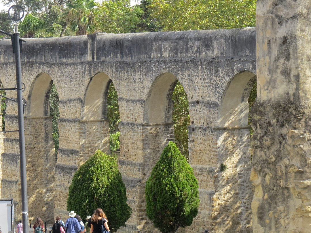 São Sebastião Aqueduct景点图片