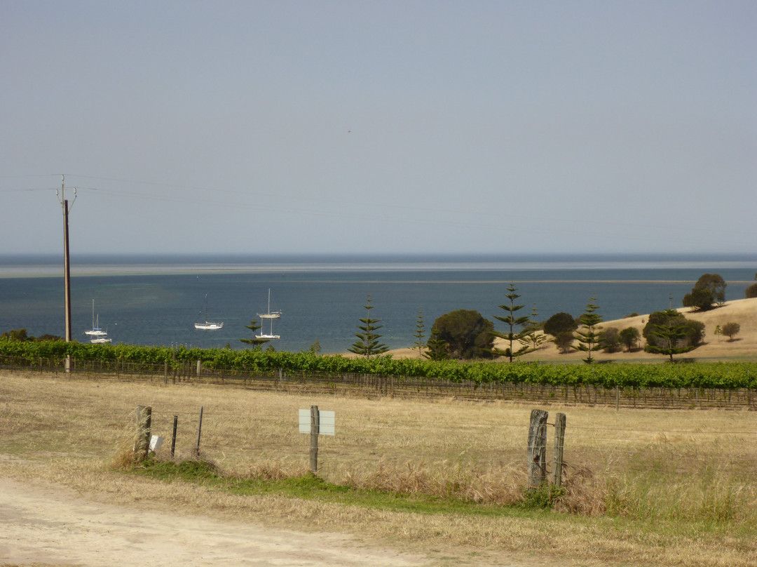 Bay of Shoals Winery景点图片