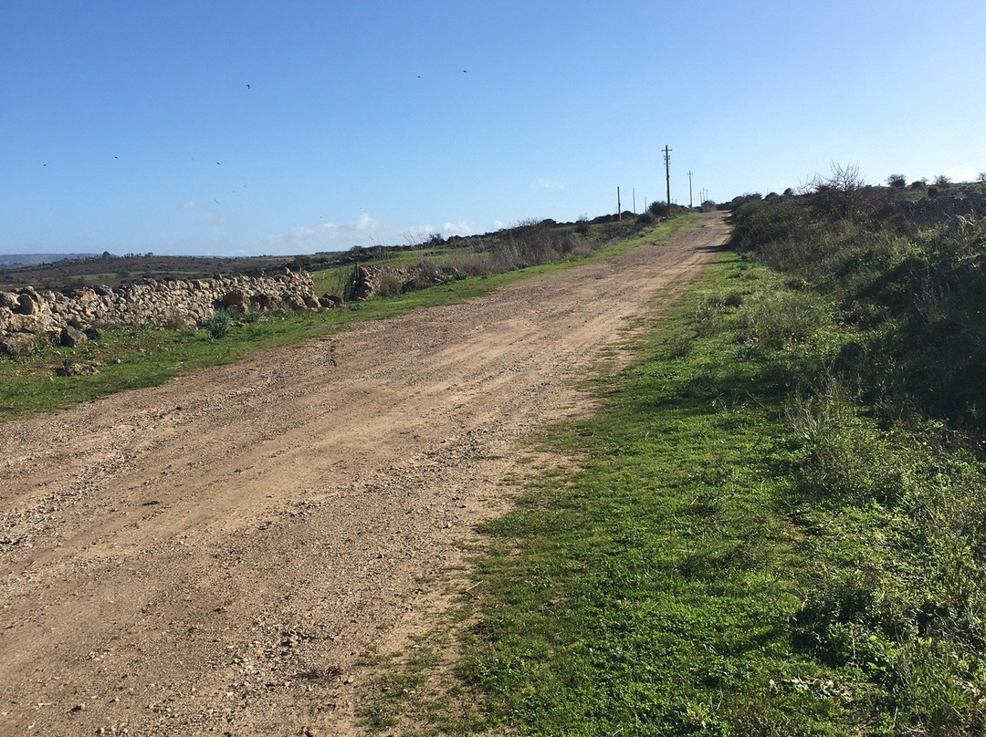 Chiesa di San Giorgio di Oleastreto
