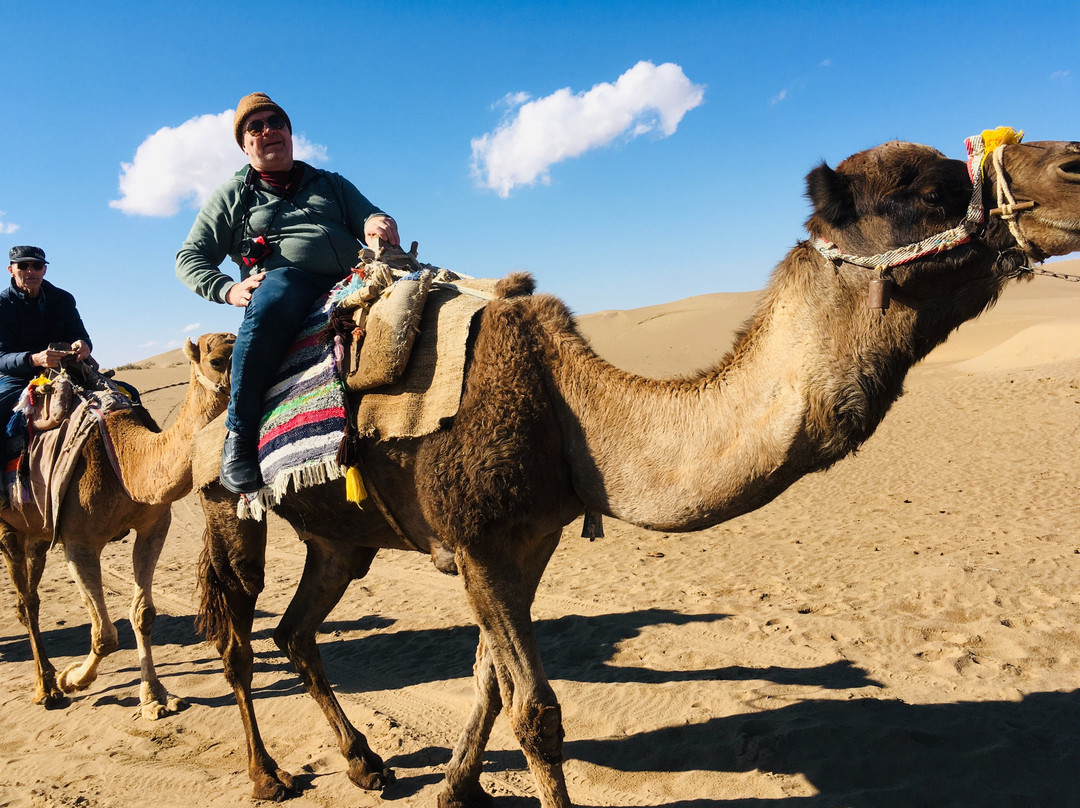 Sinar Gasht Tour And Travel Agency-Shiraz必去景点