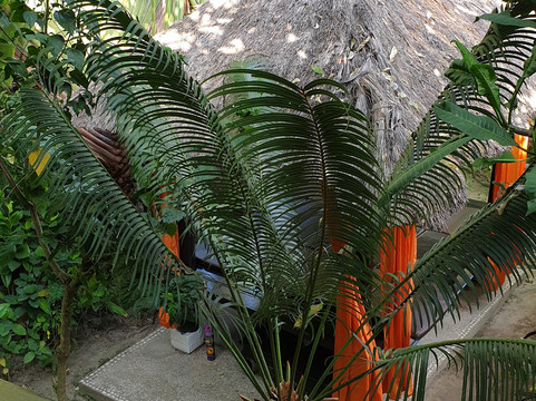 巴厘岛热带酒店主图