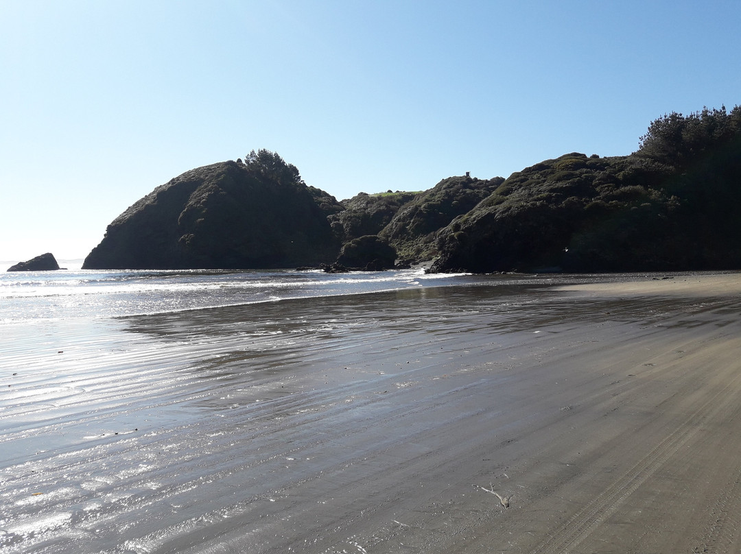 Islotes de Punihuil-奇洛埃岛必去景点