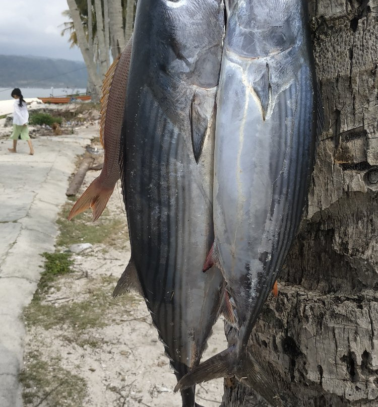 Banana Island-Krui必去景点